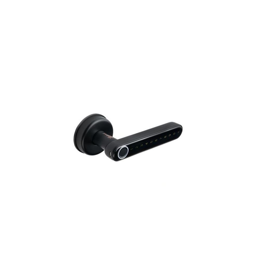 دستگیره الکترونیکی مشکی مدل TTDH3 لوم باردی LOMBARDI 1* AX02/2