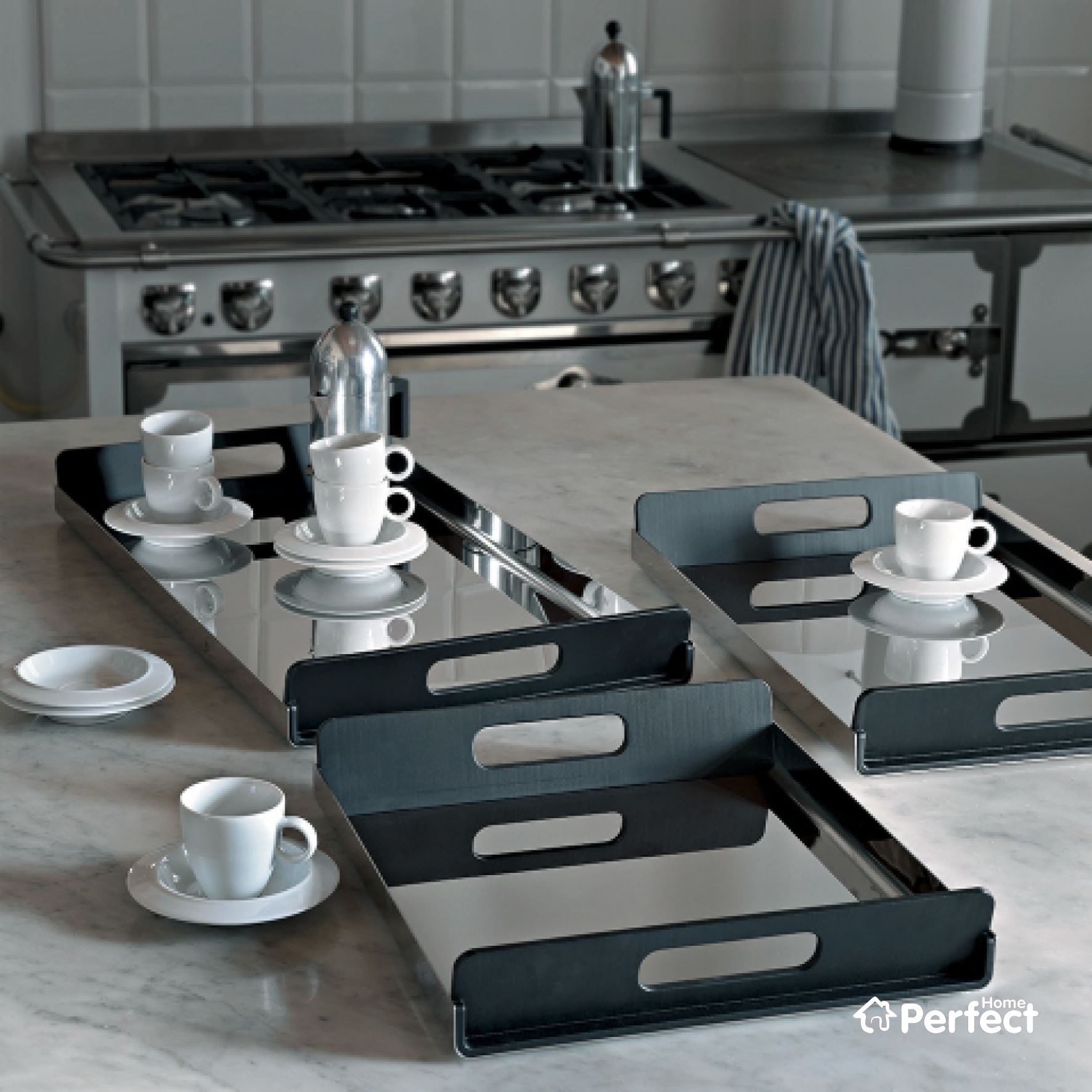 سینی استیل پرفکت هوم PERFECT HOME مدل ALESSI 