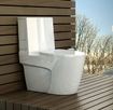 تصویر  توالت فرنگی یک تکه پلاتوس 19 سفید ساده درجه 2 گلسار